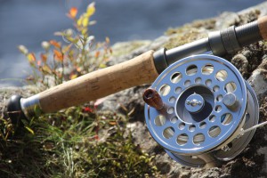 Fishing rod and reel - close-up