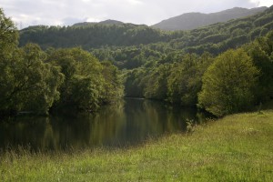 Wooded view of River Farrar