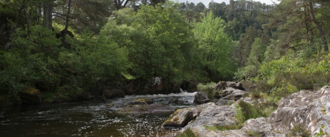 Glen Strathfarrar