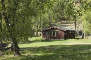 Birch Chalet